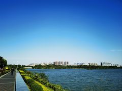 -立新湖公园