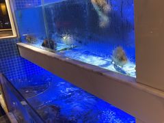 -王捌小院(红花坡店)
