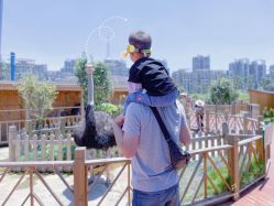 -三分地生态园·儿童乐园