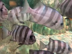 -沈阳海洋探索中心