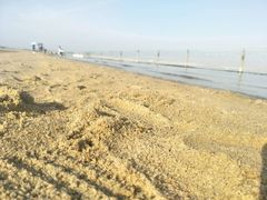 -碧海金沙