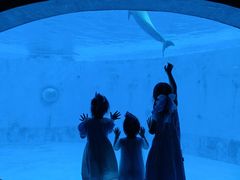 -海合安成都极地海洋公园
