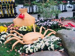 -上海共青森林公园