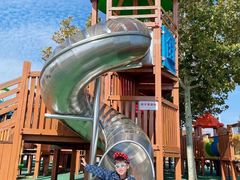 -羊亭河湿地公园