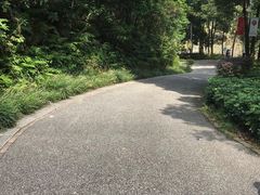 -广州市帽峰山景区