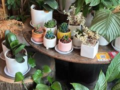 -火塘云南烧烤大排档