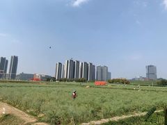 -光明小镇欢乐田园