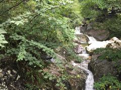 -罗田天堂寨风景区