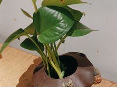 -中国徽菜·徽商故里(广安门店)