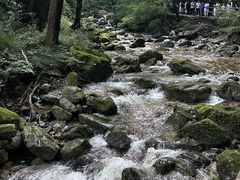 -牛背梁国家森林公园