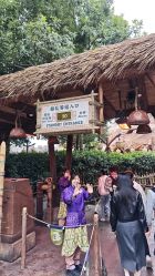 -翱翔飞越地平线