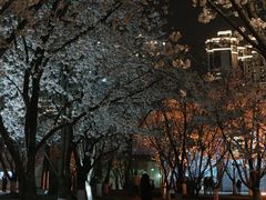 -龙美术馆(西岸馆)