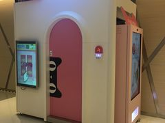 -首开·龙湖成都西宸天街