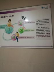 -苏州大学附属儿童医院(景德路院区)