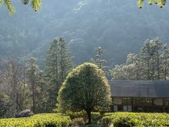 -姑婆山旅游区