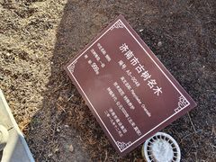 -华山风景区-华阳宫