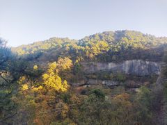 -秦岭风景区