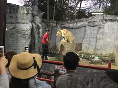 -清迈夜间动物园