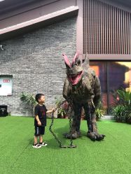 点击看大图 -恐龙探索乐园(磁器口店)