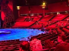 -珠海横琴长隆《卡卡虎奇遇记》