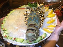 刺身龙虾-郑厨私房菜