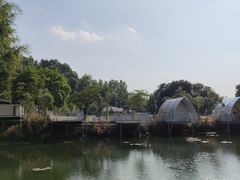 -南丹山森林王国