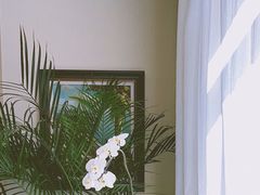 -子霖南山鲜虾面(南山总店)