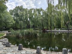 -玲珑塔公园