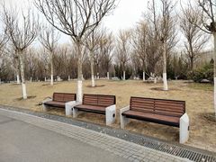 -水西公园