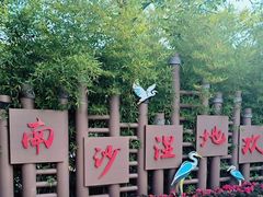 -大湾区中央湿地公园