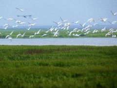 -鄱阳湖国家湿地公园