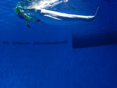 -芜湖新华联大白鲸海洋公园