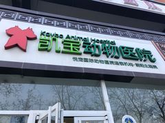 -悦宠凯宝动物医院·牙科·皮肤科(朝阳北路店)