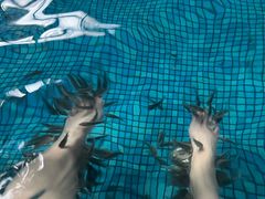 -金孔雀温泉旅游度假村