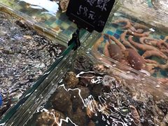 -87号烧烤海鲜·大排档(金沙滩店)