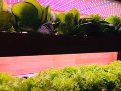-满堂欢豆捞坊(美丽华大酒店店)