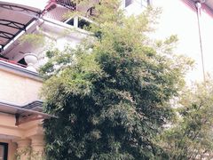 -老洋房花园饭店(绍兴路店)