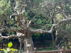 -草庵摩尼教遗址公园