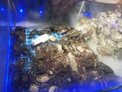 -鑫海汇海鲜烤肉自助(北国商城店)