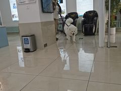 -北京观赏动物医院·24小时大型综合·猫专科·异宠专科
