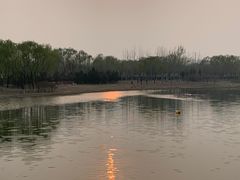 -大兴滨河森林公园