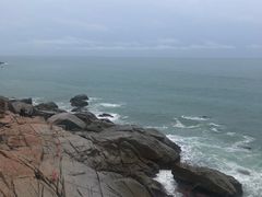 -广东惠东海龟国家级自然保护区