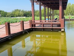 -石家庄市植物园