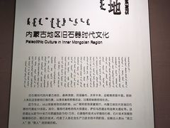 景点-内蒙古博物院