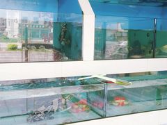 水产区-原龙海鲜大排档(美食地标店)