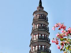 -顺峰山公园