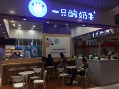 门面-一只酸奶牛(八一路店)