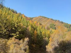 -苏木山森林公园