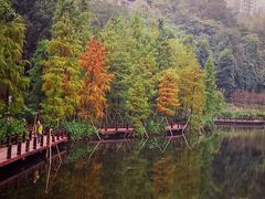 -重庆彩云湖湿地公园