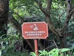 -马峦山郊野公园